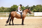 SBM_004017