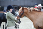SBM_006202