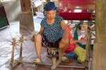 Vietnam portfolio