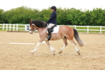 SBM_006420