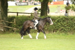 SBM_71583