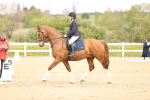 SBM_007438