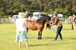 SBM_00507