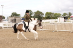 SBM_02815