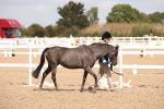 SBM_03736