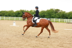 SBM_006314