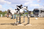 SBM_004642