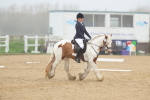 SBM_000874