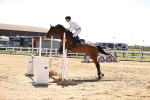 SBM_008091