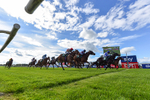 310526-Race 3-Al Hussar-9408
