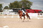 SBM_05954