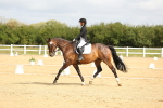 SBM_015663
