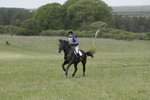 BVHT 140517  IXC -344