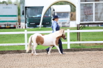 SBM_00215