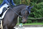 112-REHY.HULABALOO-Millie.Rogers-DR portfolio