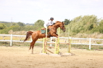 SBM_004368