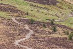 Lords Seat-12