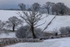 Rural Snowy Landscape