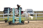 SBM_03462