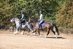 WJ6_7828