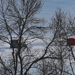 Belleisle Bay Ice Shacks