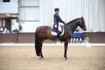 SBM_007919