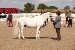 SBM_04590