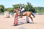 Sunday Wessex (Horses and Club) Arena portfolio