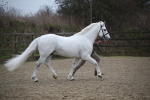 SBM_004042