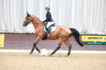 SBM_005428