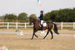 SBM_005336