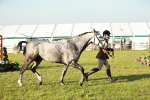SBM_20525