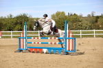 Show Jumping - 25-4-26 portfolio