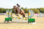 SBM_002560