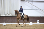 SBM_000636