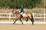 SBM_000342