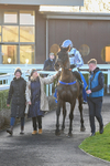 250225-Race 4-Master Breffni-8245