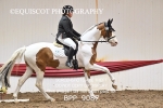 BPP_9087