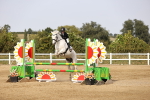 SBM_03514