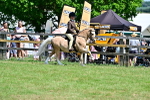 SBM_15335