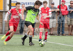 Loveridge Cup Final_27-05-2017-19