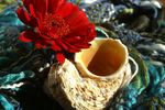Flowers Set 06 - 07
