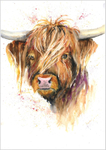 Highland Cow Limited Edition Print 162