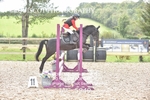 CLASS 4 SAT Stepping Stones 128/ 138cms Handicap portfolio