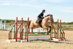 SBM_005338