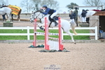 Cls 5 Pony Foxhunter portfolio