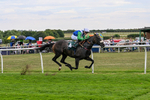 260826-Race 5-Novamay-3528