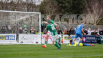 GFC v MARLOW portfolio