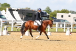 SBM_011420