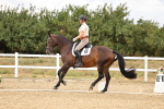 SBM_006634
